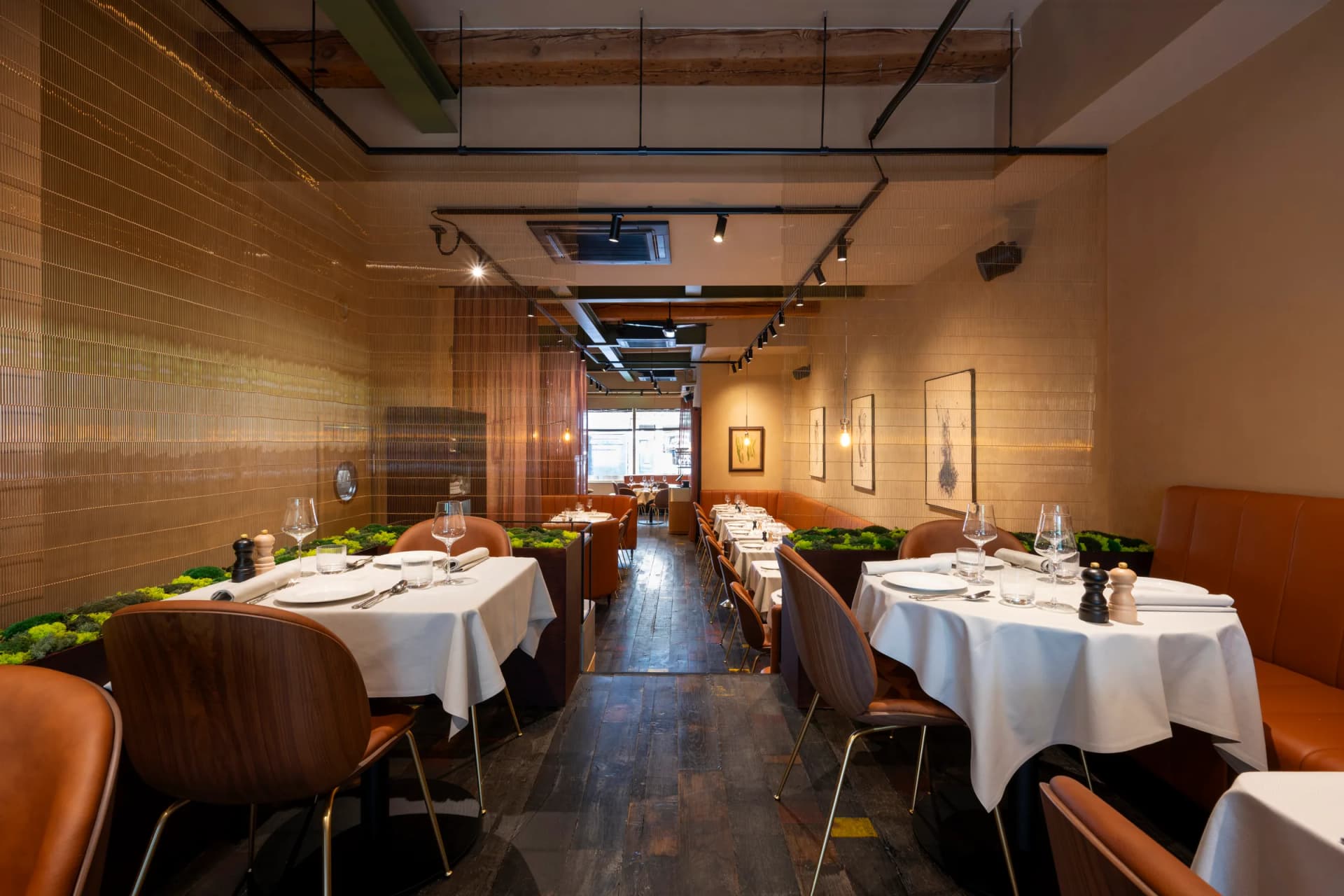 Satkara lighting and textured dining interior